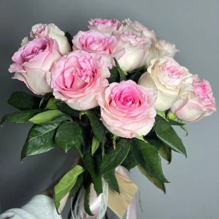 Танго страсти