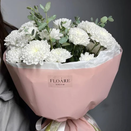 Стойкий красавчик