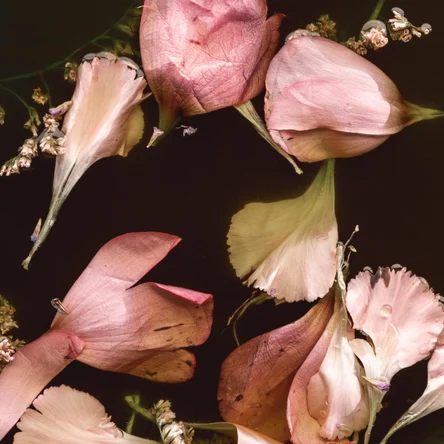 Букеты и монобукеты